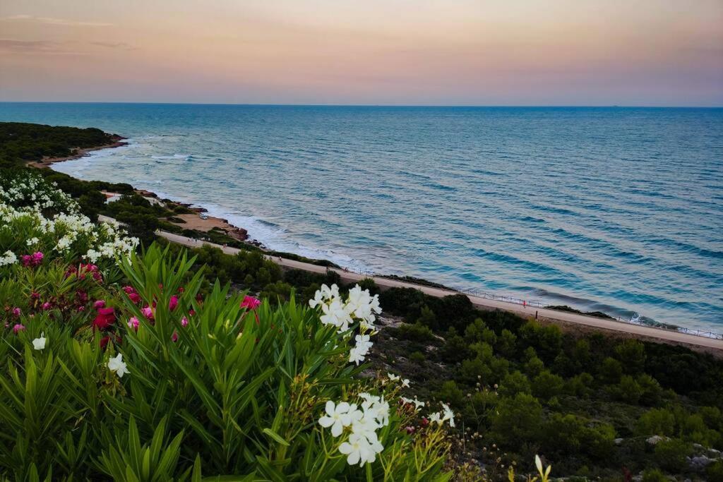 Apartamento recién reformado en primera línea con vistas a la playa de la Almadraba Benicàssim Exterior foto